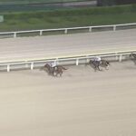 【東京ダービー2025】結果・動画/ナチュラルライズが断然人気に応え圧勝