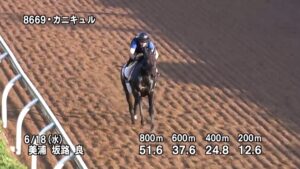 【府中牝馬ステークス2025】追い切り/抜群の動きを見せたのは