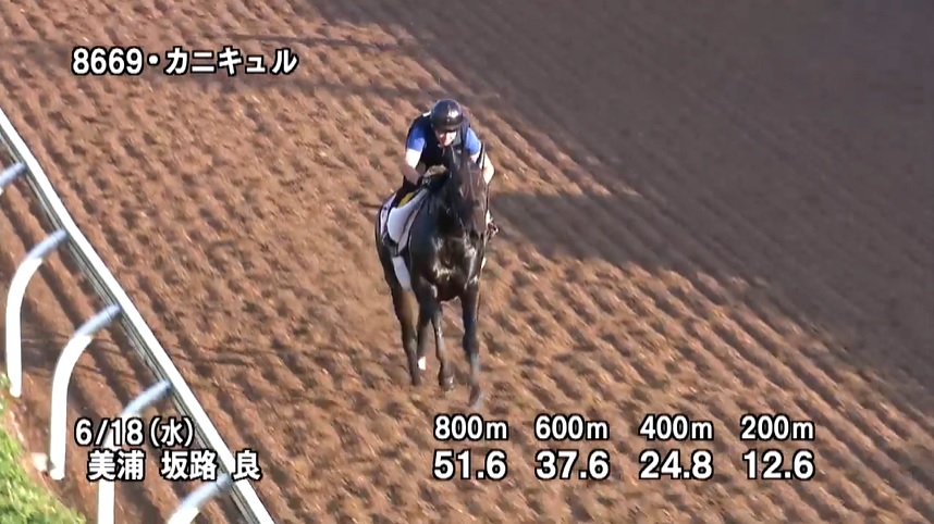 【府中牝馬ステークス2025】追い切り/抜群の動きを見せたのは