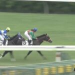 【競馬】小林美駒騎手 隊列が決まってから逃げ馬に絡んでいく