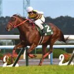ネロ産駒 明日の小倉5R新馬戦に怒涛の7頭出し