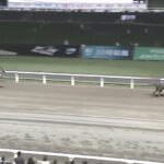【関東オークス2025】結果・動画/メモリアカフェが断然人気に応え圧勝
