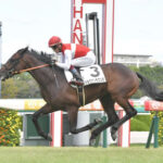 キズナG1レース56連敗達成!宝塚記念で59連敗