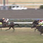 【競馬】お前らアメリカズカップが皐月賞勝ったらどう思う?