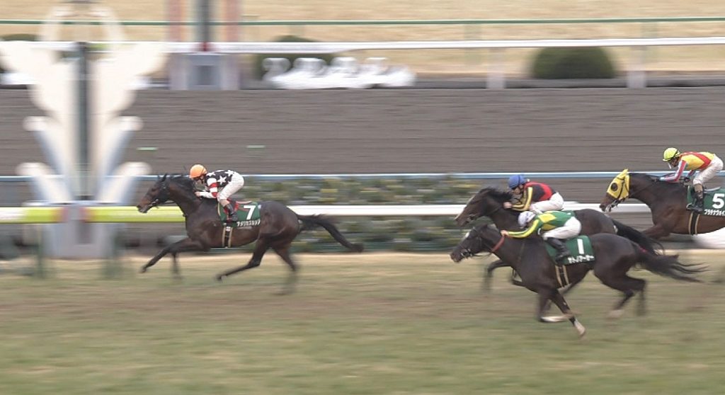 【競馬】お前らアメリカズカップが皐月賞勝ったらどう思う?