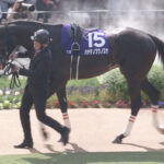 【函館記念】ハヤテノフクノスケ単勝に大口250万円投票