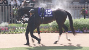 【函館記念】ハヤテノフクノスケ単勝に大口250万円投票