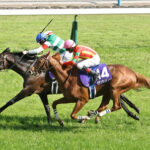 ビザンチンドリーム、フォワ賞をステップに凱旋門賞へ