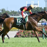 【府中牝馬S】セキトバイーストがゴール前で抜け出してV!重賞初制覇