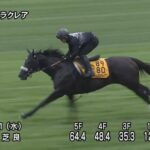 【函館スプリントステークス2025】追い切り/動きからレースを紐解く