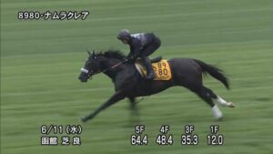【函館スプリントステークス2025】追い切り/動きからレースを紐解く