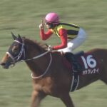 【競馬】カラクレナイ桜花賞誰が乗るんだよwwwwwwww【デムーロ→アドマイヤミヤビ】