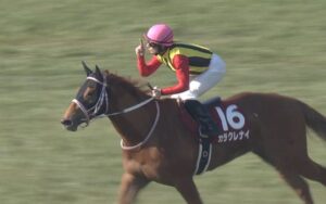 【競馬】カラクレナイ桜花賞誰が乗るんだよｗｗｗｗｗｗｗｗ【デムーロ→アドマイヤミヤビ】
