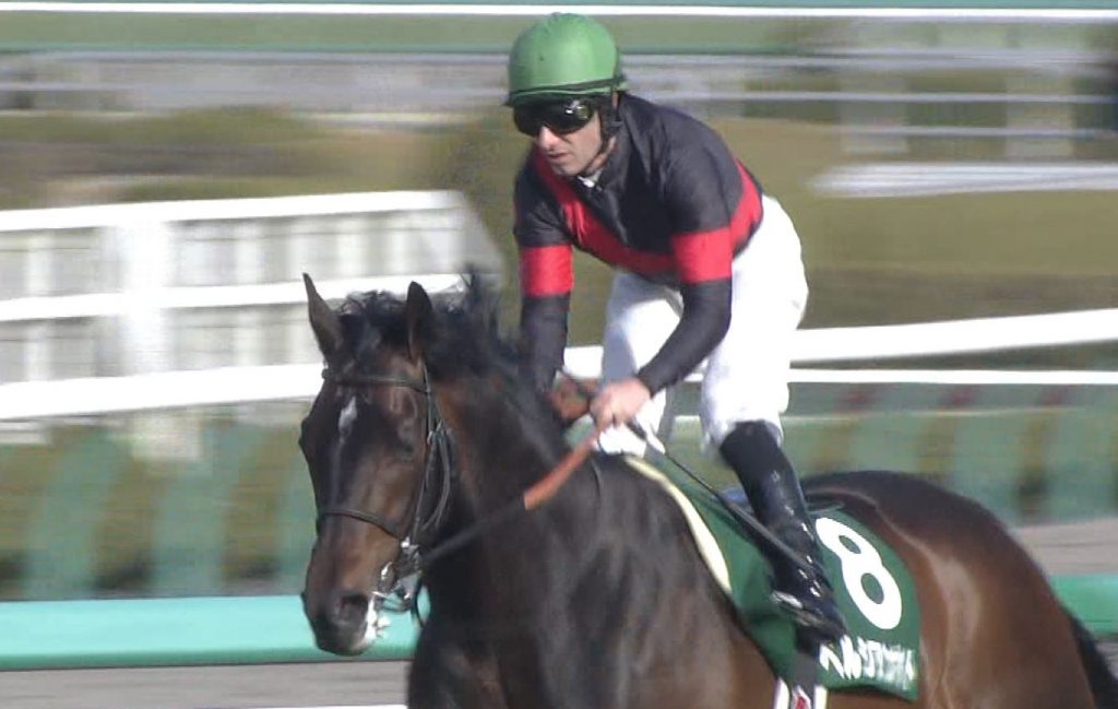 【競馬】率直に聞くけど今年の皐月賞を制して欲しい馬は?