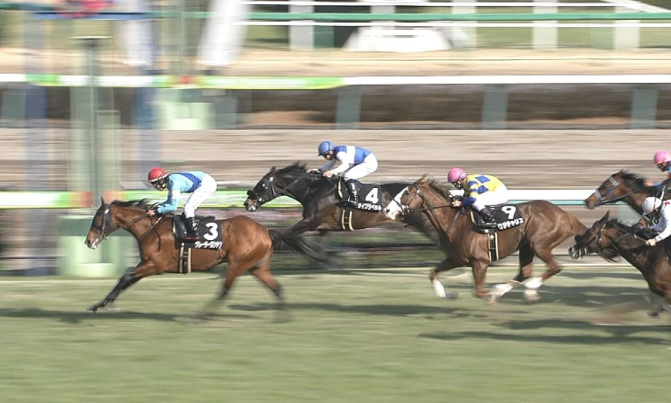 【競馬】もしかして、グレーターロンドンって現役最強馬なんじゃないか?