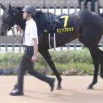 【競馬予想】[2]第74回ラジオNIKKEI賞(GⅢ) /2025