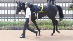 【競馬予想】[2]第74回ラジオNIKKEI賞(GⅢ) /2025