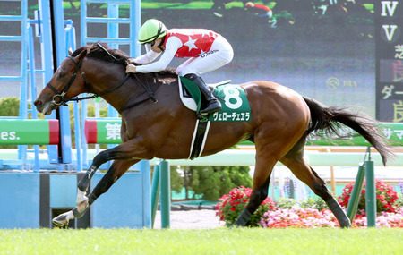 【函館記念】10番人気ヴェローチェエラ重賞初制覇!サッカーボーイの日本レコード更新