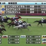 【安田記念】ソウルラッシュ浜中wwww