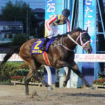 【さきたま杯】シャマルが逃げ切って圧勝!かしわ記念に続きJpn1連勝