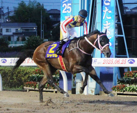 【さきたま杯】シャマルが逃げ切って圧勝!かしわ記念に続きJpn1連勝