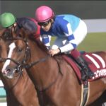 【競馬/阪神大賞典】サトノダイヤモンド単勝かサトノ-シュヴァルグランのワイドに100万いこうと思ってるがどっちがより安全か?