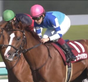 【競馬/阪神大賞典】サトノダイヤモンド単勝かサトノ-シュヴァルグランのワイドに１００万いこうと思ってるがどっちがより安全か？