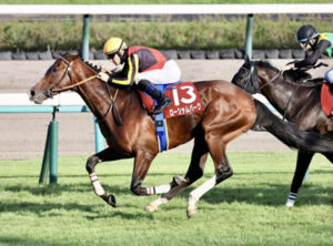 【宝塚記念】ローシャムパーク落馬負傷の池添から菱田に乗り替わり