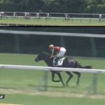 【競馬】クロワデュノールの全弟チャリンググロス デビュー戦は2.3秒差の9着