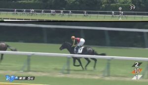 【競馬】クロワデュノールの全弟チャリンググロス　デビュー戦は2.3秒差の9着