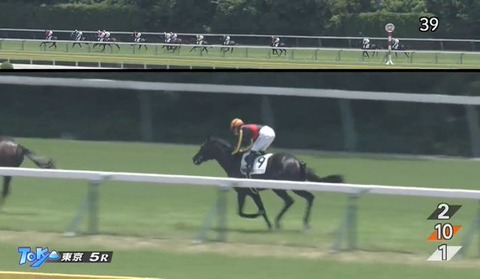 【競馬】クロワデュノールの全弟チャリンググロス デビュー戦は2.3秒差の9着