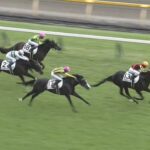 【日本ダービー2025】結果・動画/クロワデュノールが世代の頂点に輝く