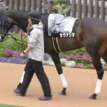 【競馬予想】[1] 第73回府中牝馬ステークス(GⅢ) /2025