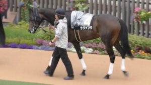 【競馬予想】[1] 第73回府中牝馬ステークス(GⅢ) /2025