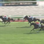 【函館記念2025】結果・動画/ヴェローチェエラがレコードV