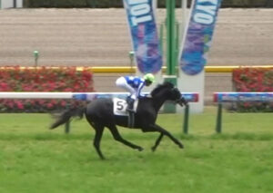 【2歳新馬】リアライズシリウス強すぎワロタw w w w w