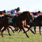 【競馬予想】[3]第75回安田記念(GⅠ) /2025