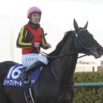 【悲報】新種牡馬シャフリヤールまさかの廃用か!?