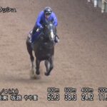 【安田記念2025】追い切り/動きを見極め勝利に近づけ
