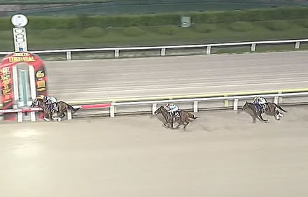 【東京ダービー】1番人気ナチュラルライズが逃げ切り完勝!ダート三冠、二冠達成