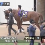 【悲報】アロヒアリイ、パリ大賞回避