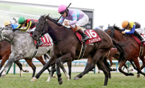 【競馬予想】第32回函館スプリントステークス(GⅢ) /2025