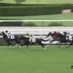 【競馬】今年最初の新馬戦 阪神は北村友騎乗のモーリス産駒チュウワカーネギー・東京はレーン騎乗のスワーヴリチャード産駒のディヴァインウインドがV