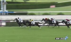 【競馬】今年最初の新馬戦　阪神は北村友騎乗のモーリス産駒チュウワカーネギー・東京はレーン騎乗のスワーヴリチャード産駒のディヴァインウインドがV