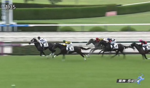【競馬】今年最初の新馬戦 阪神は北村友騎乗のモーリス産駒チュウワカーネギー・東京はレーン騎乗のスワーヴリチャード産駒のディヴァインウインドがV