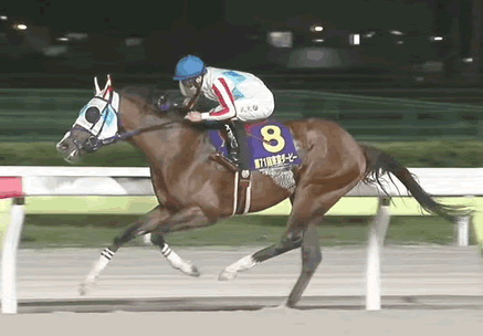 【東京ダービー】ナチュラルライズ強すぎワロタ