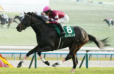 5着エリキング上がり最速33秒4