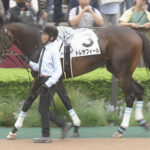 【競馬予想】[1]第74回ラジオNIKKEI賞(GⅢ) /2025