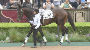 【競馬予想】[1]第74回ラジオNIKKEI賞(GⅢ) /2025