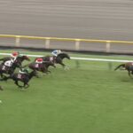 【目黒記念2025】結果・動画/アドマイヤテラがきっちり差し切る